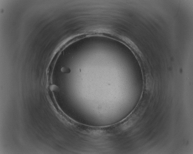 X0000086271031200704051304