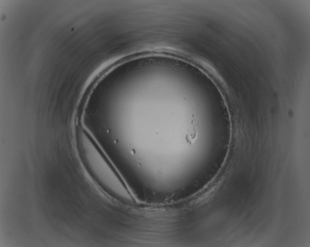 X0000086271032200704051304