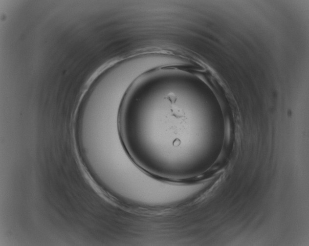 X0000086271034200704051304