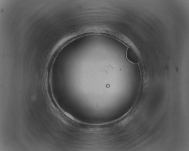 X0000086271035200704051304