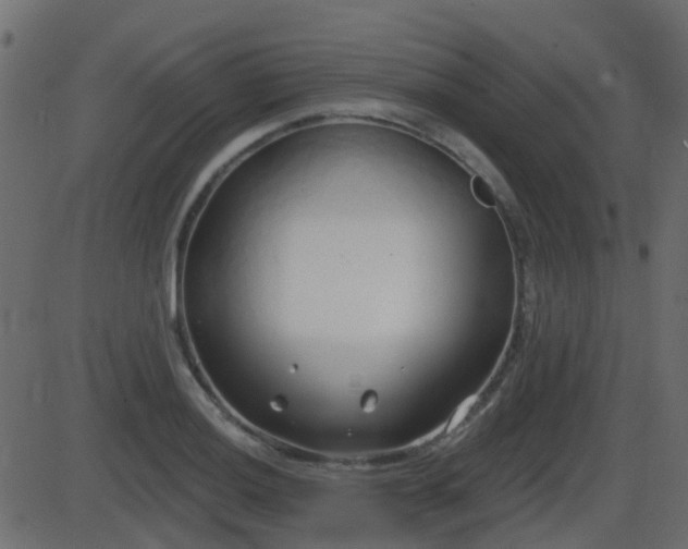 X0000086271036200704051304