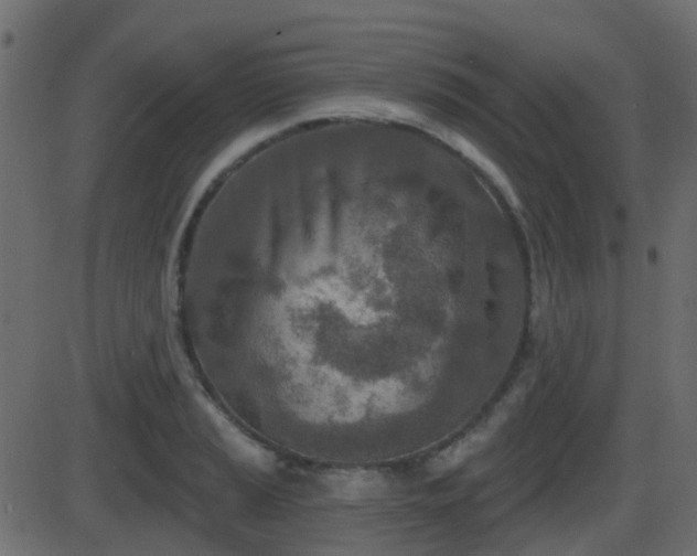 X0000086271037200704051304