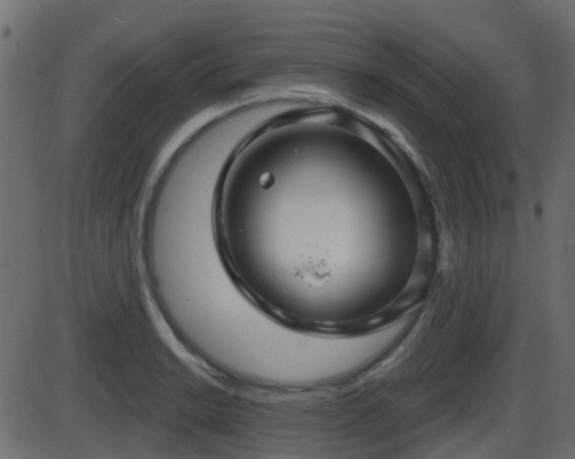 X0000086271038200704051304