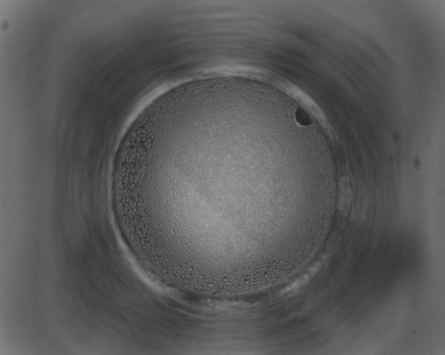 X0000086271039200704051304