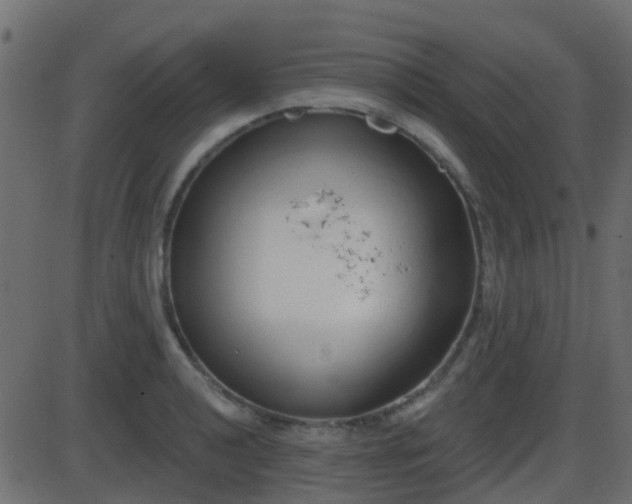 X0000086271040200704051304