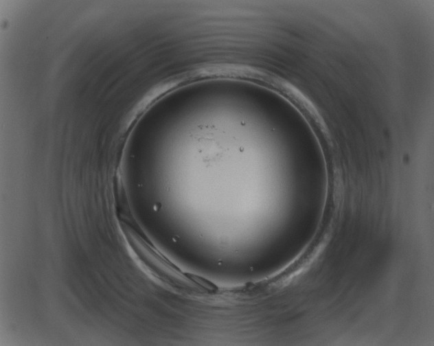 X0000086271041200704051304