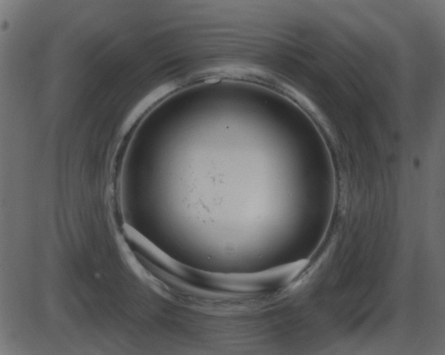 X0000086271042200704051304