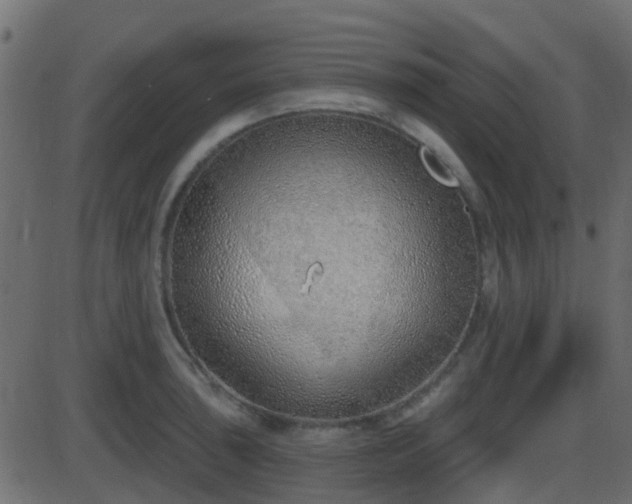 X0000086271043200704051304