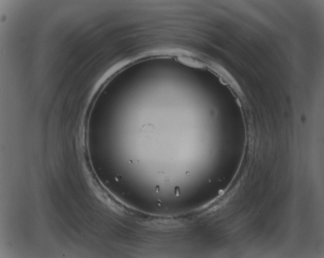 X0000086271044200704051304