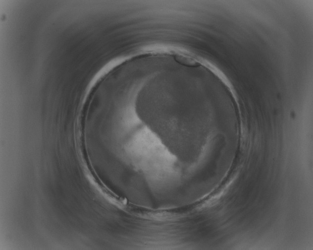 X0000086271045200704051304