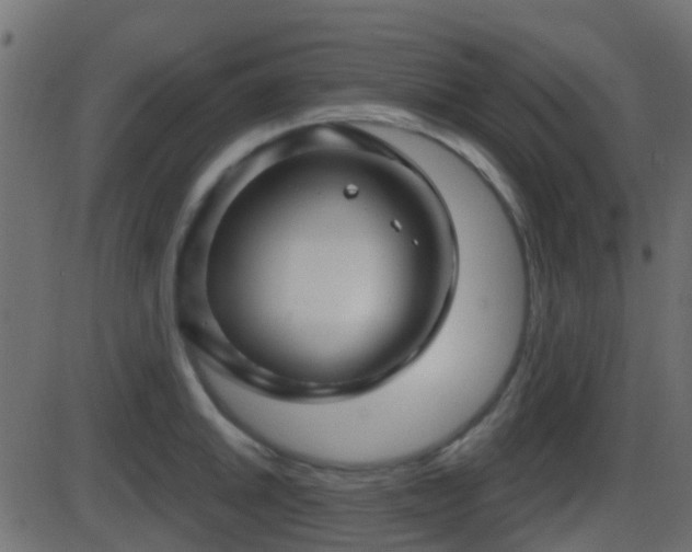 X0000086271046200704051304