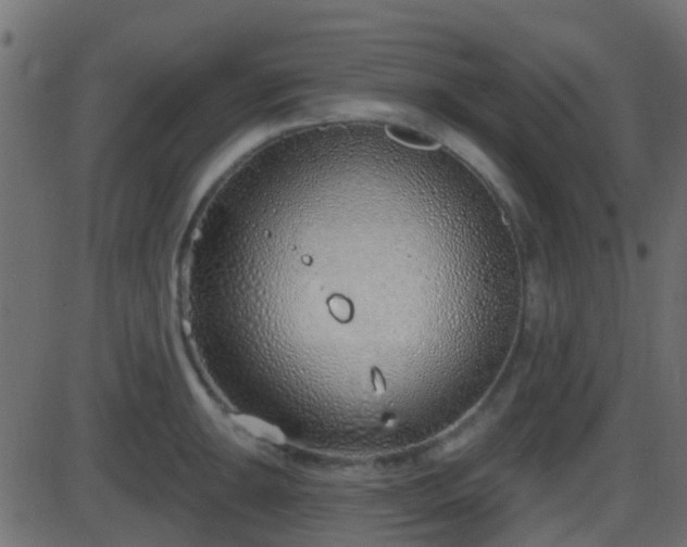 X0000086271047200704051304