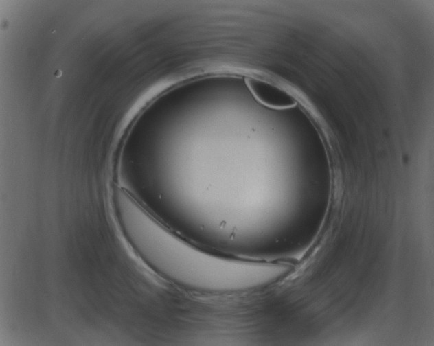 X0000086271048200704051304