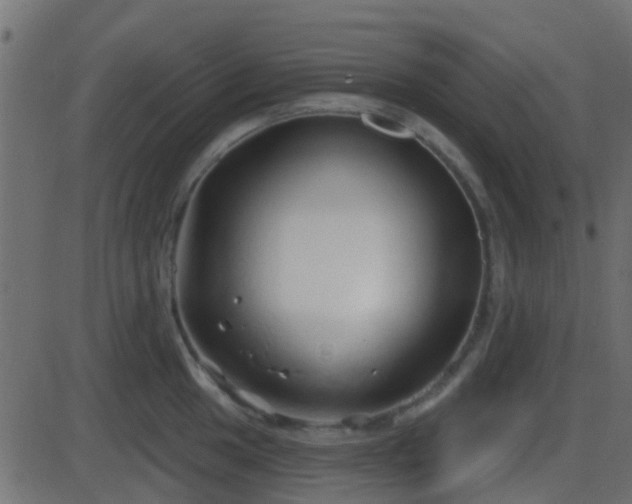 X0000086271049200704051304