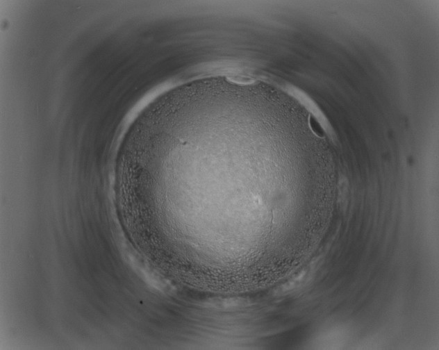 X0000086271051200704051304