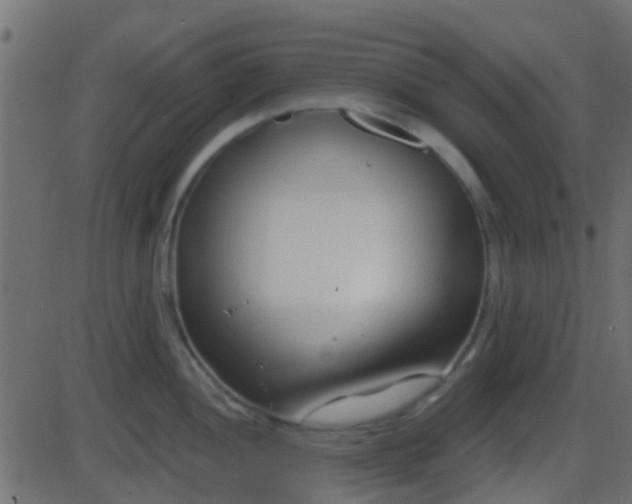 X0000086271052200704051304