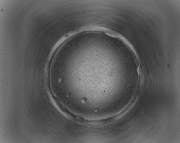 X0000086271053200704051304