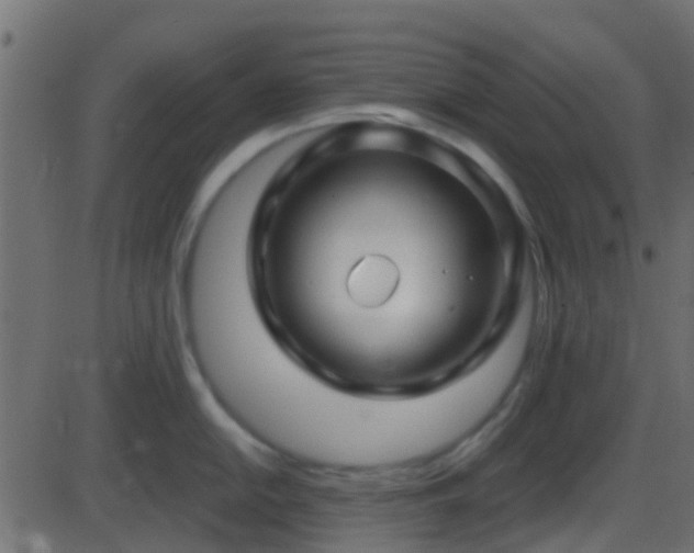 X0000086271054200704051304