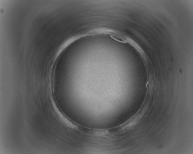 X0000086271055200704051304