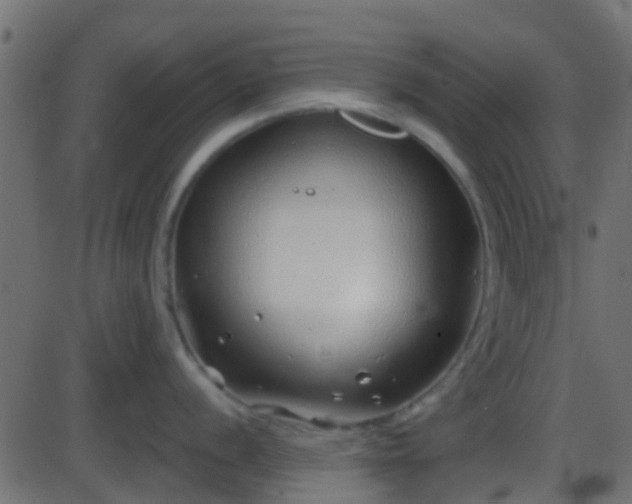 X0000086271056200704051304