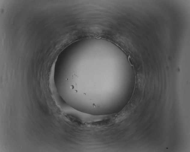 X0000086271057200704051304