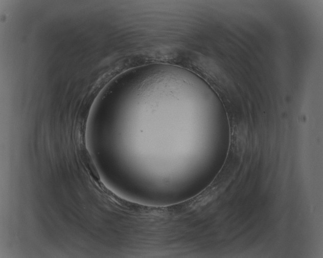 X0000086271058200704051303