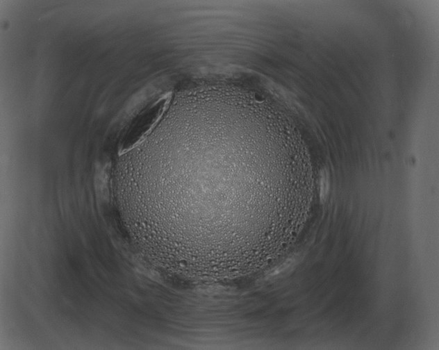 X0000086271059200704051303