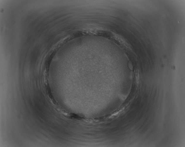 X0000086271060200704051303