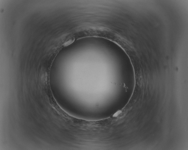 X0000086271061200704051303