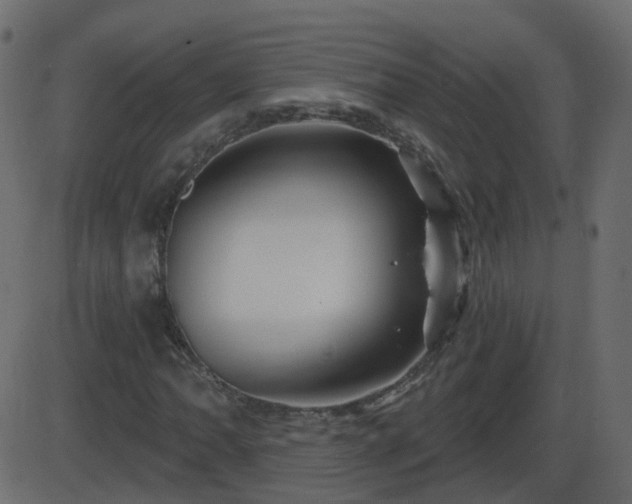 X0000086271062200704051303