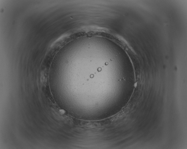 X0000086271063200704051303