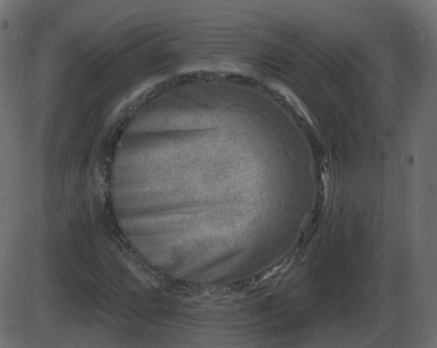 X0000086271064200704051303