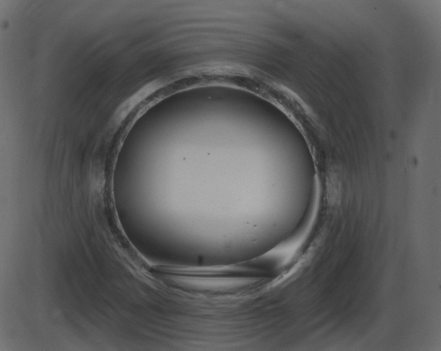 X0000086271065200704051303