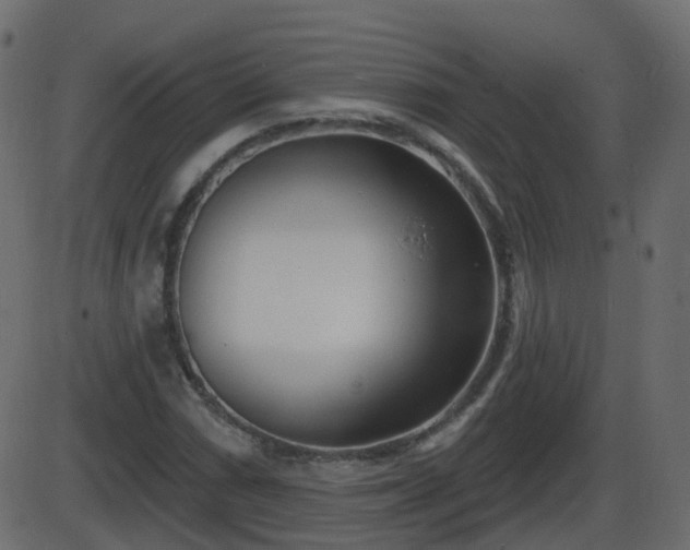 X0000086271066200704051303