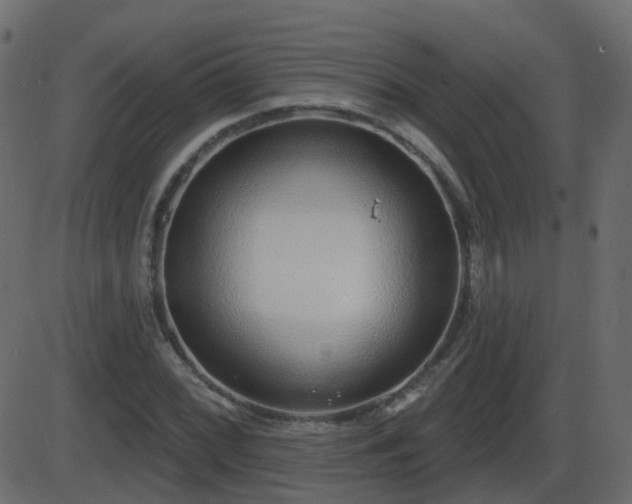 X0000086271068200704051303