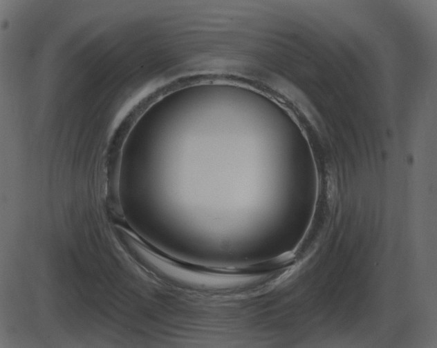 X0000086271069200704051303