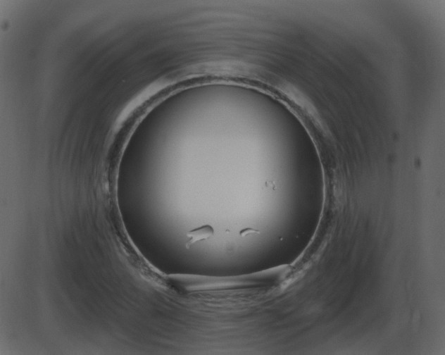 X0000086271070200704051303