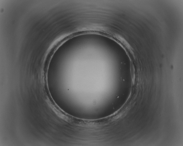 X0000086271072200704051303