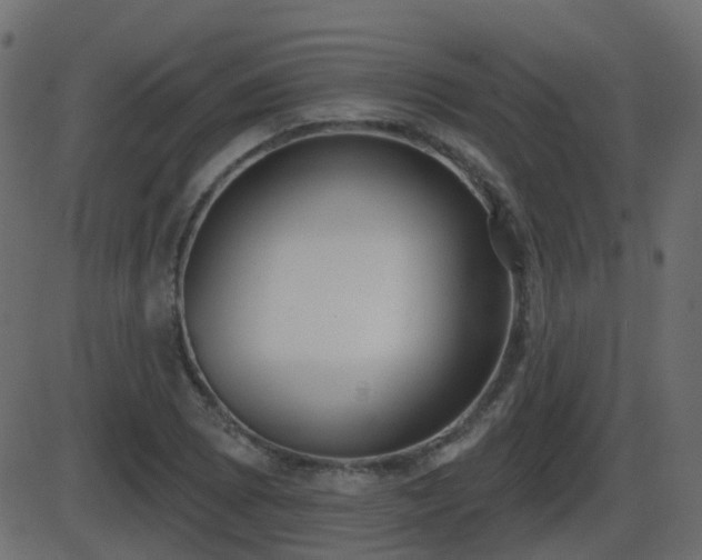 X0000086271073200704051303