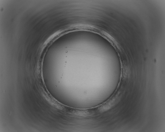 X0000086271074200704051303