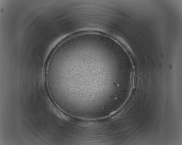 X0000086271076200704051303