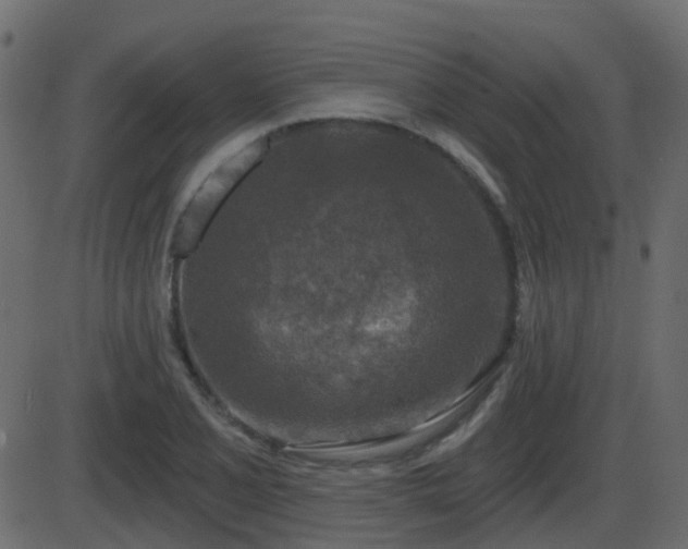 X0000086271077200704051303