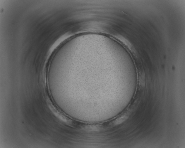 X0000086271078200704051303