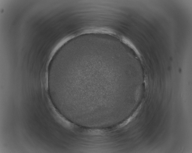 X0000086271079200704051303