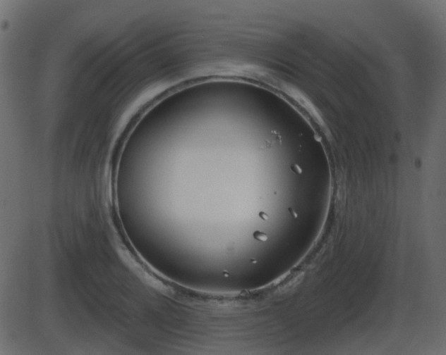 X0000086271080200704051303