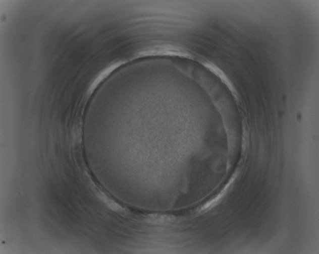 X0000086271081200704051303