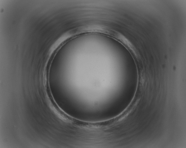 X0000086271082200704051303