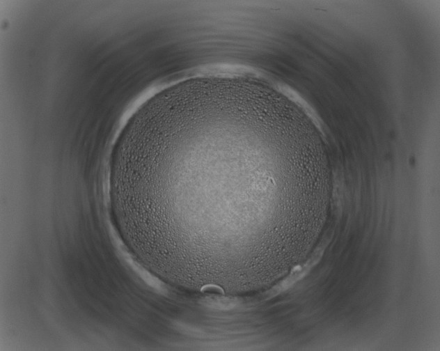 X0000086271083200704051303