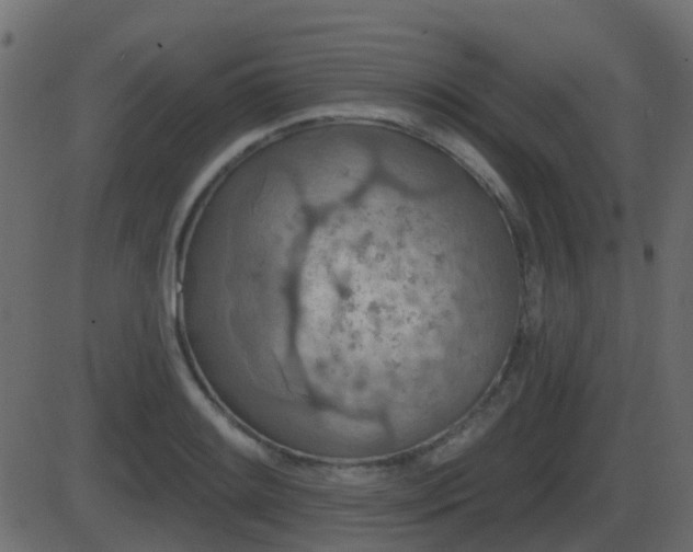 X0000086271084200704051303