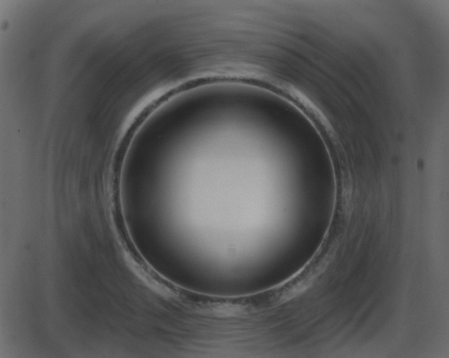 X0000086271085200704051303